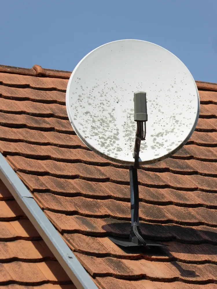 antenne-12